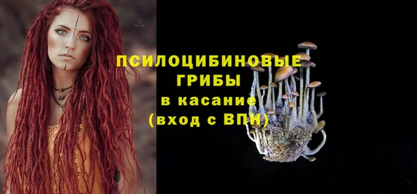 гидра Бугульма