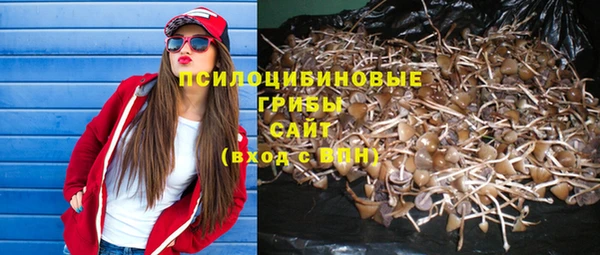 гидра Бугульма