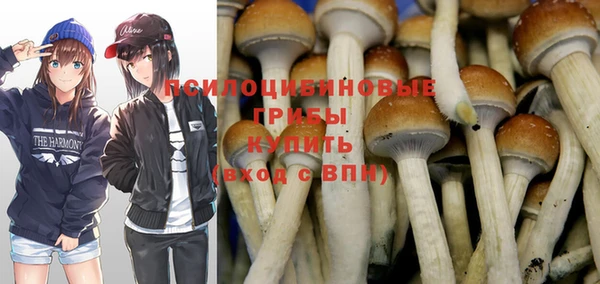 гидра Бугульма