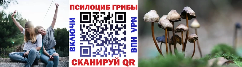 Галлюциногенные грибы мицелий  Купить закладки  Оханск 